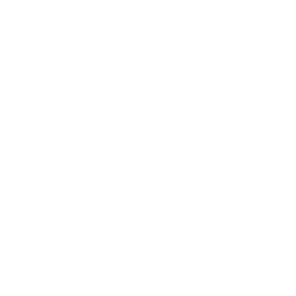 snowflake icon