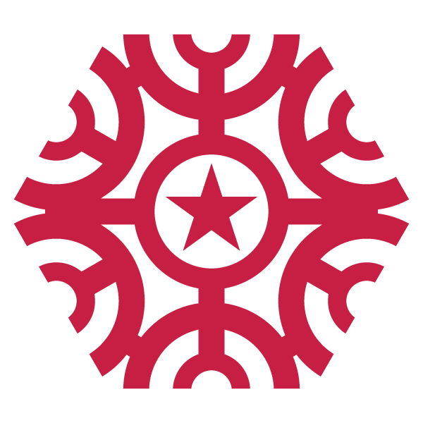 snowflake icon